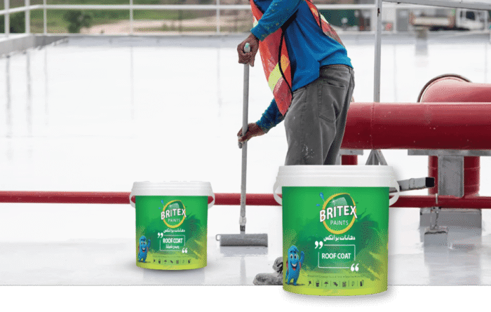 Solar Flex Roof Coating